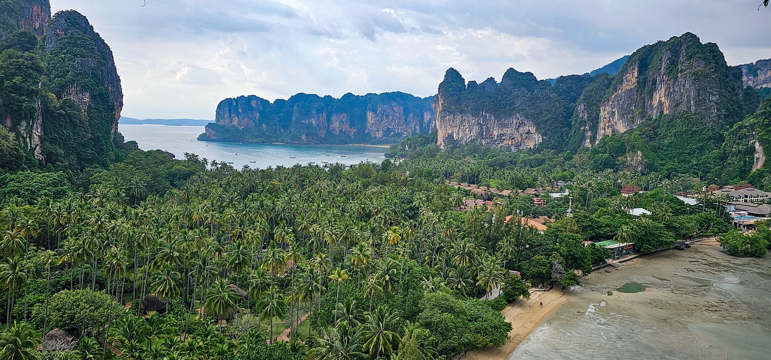 Paysage tropical avec palmiers et falaises rocheuses.