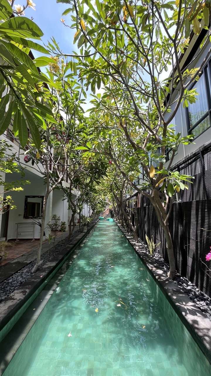 Sentier le long d'un bassin serein bordé d'arbres.