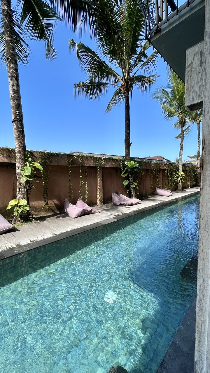Zone piscine relaxante avec coussins et verdure.