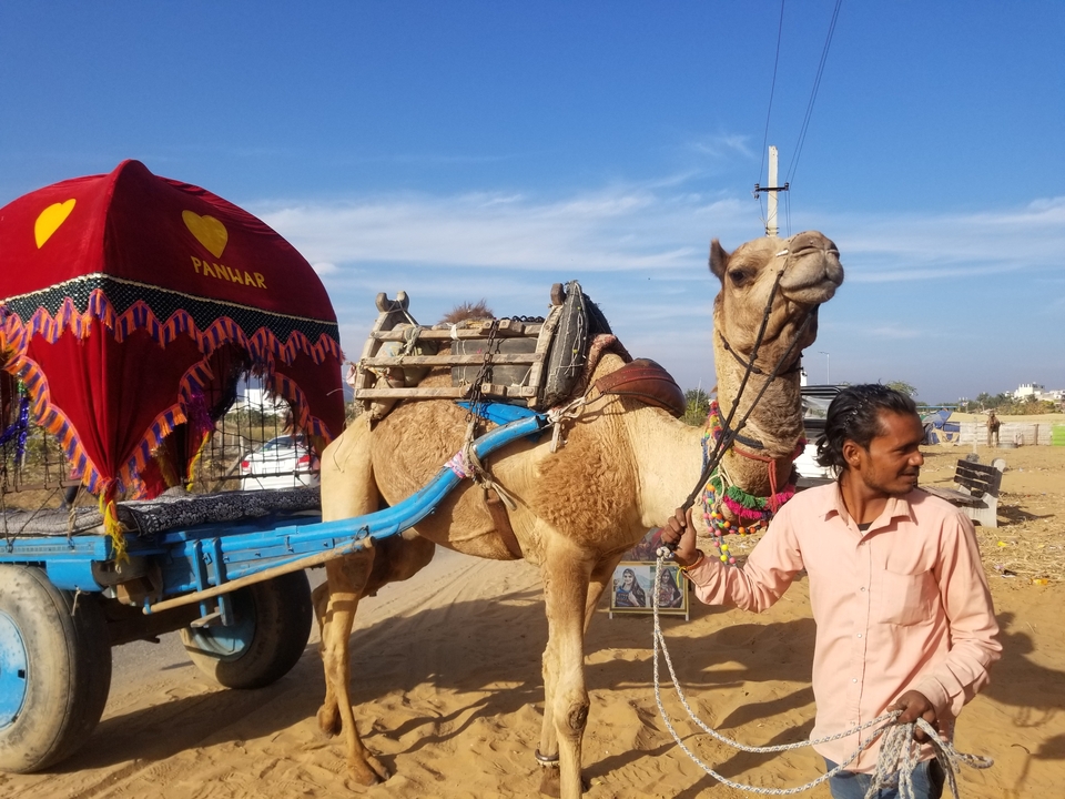 Chameau et homme sur un chemin de terre avec une charrette décorée.