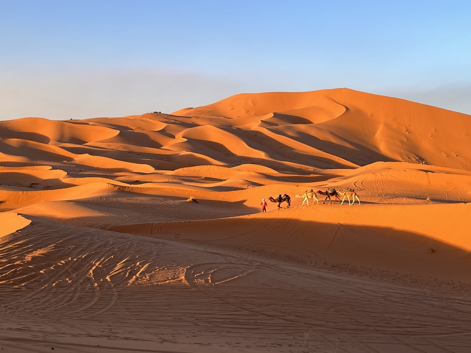 Caravane de chameaux traversant les dunes de sable au coucher du soleil.