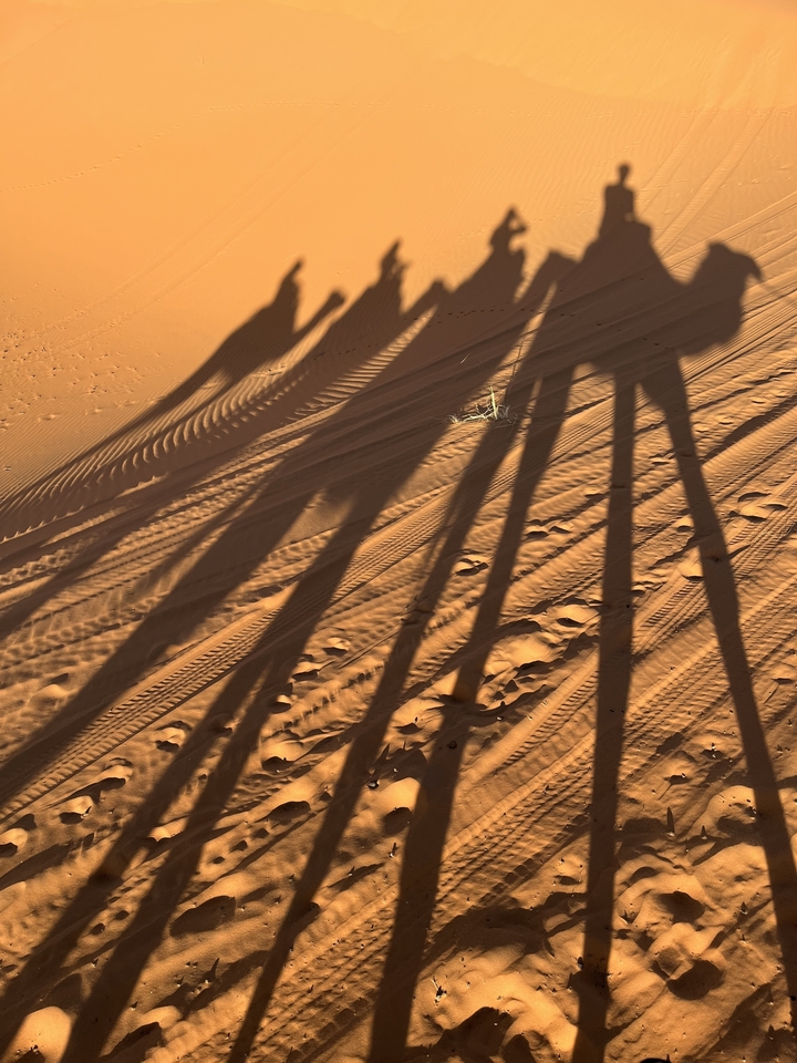 Ombres de chameaux projetées sur les dunes de sable.