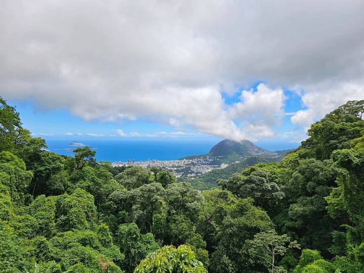City view with lush green forest and ocean in the background.