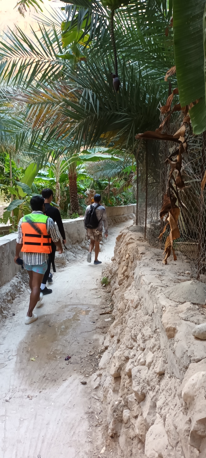 Des gens qui marchent sur un sentier étroit à travers une végétation luxuriante.