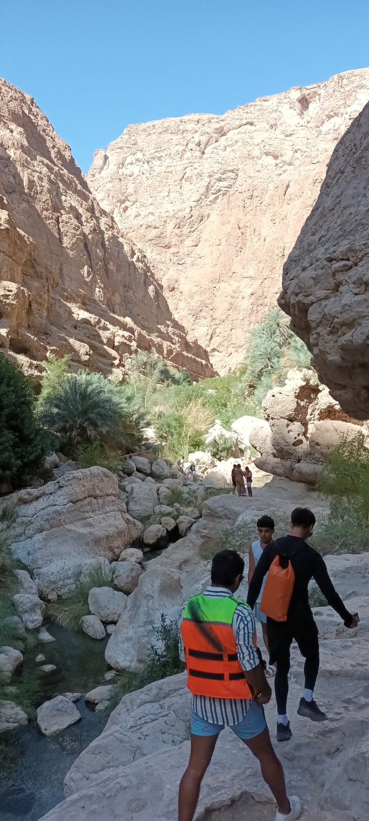 Des gens explorant un canyon rocheux avec de la végétation.