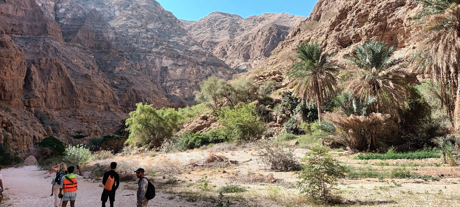 Explorateurs dans un paysage désertique rocheux avec des palmiers.