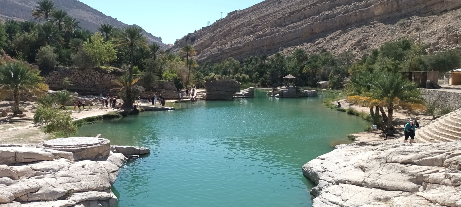 Oasis verdoyante avec de l'eau entourée de palmiers.