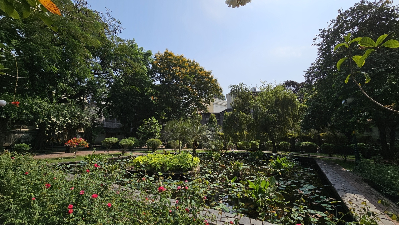 Paysage de jardin luxuriant avec un étang et des arbres.