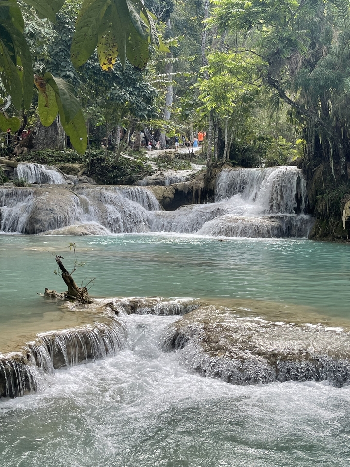 Cascade avec une eau turquoise entourée d'une végétation luxuriante.