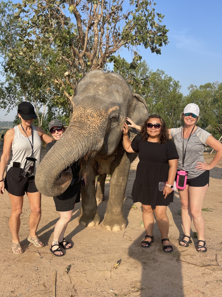 Groupe de femmes posant avec un éléphant.