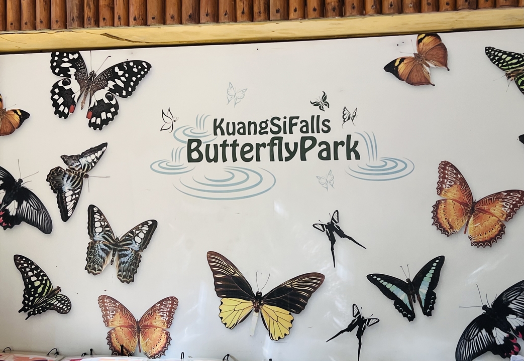 Panneau au parc aux papillons des chutes de Kuang Si avec des images de papillons.