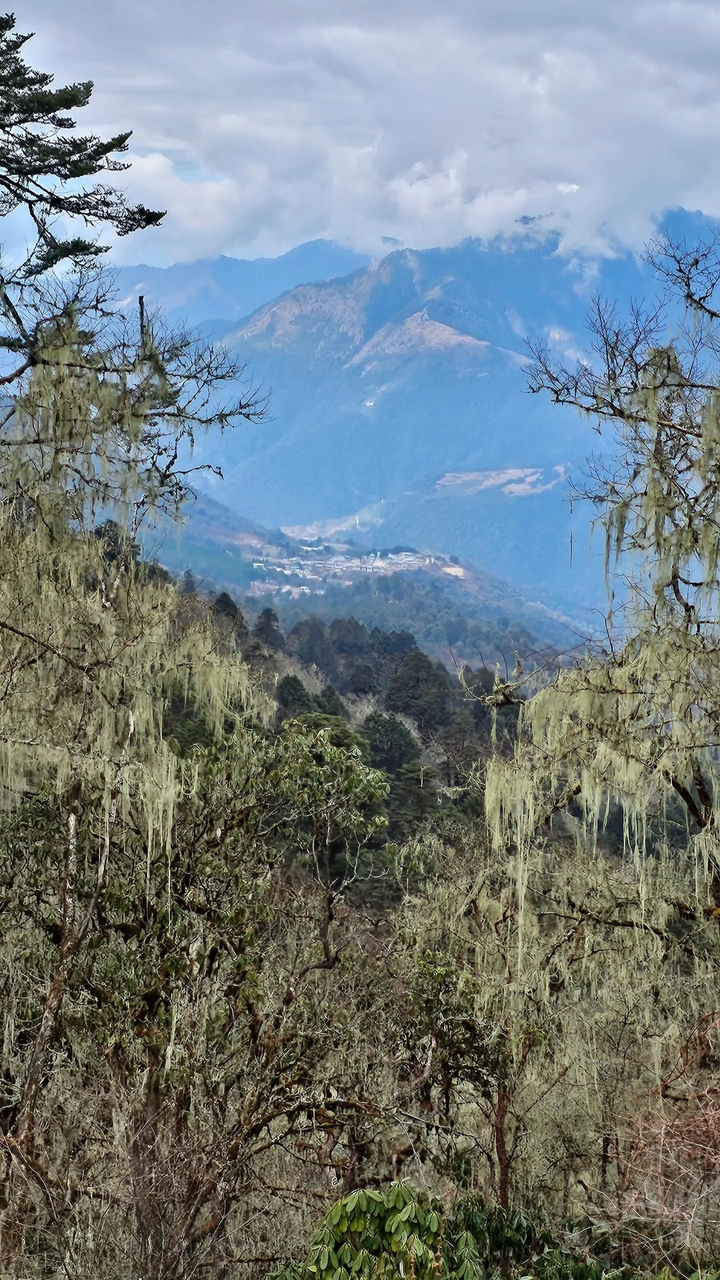 "Montagnes boisées avec vue sur un village au loin."
Alternative translation: "Montagnes couvertes d'arbres avec vue sur une agglomération distante."