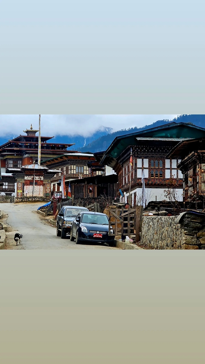 Bâtiments traditionnels bhoutanais le long d'une rue avec des voitures.