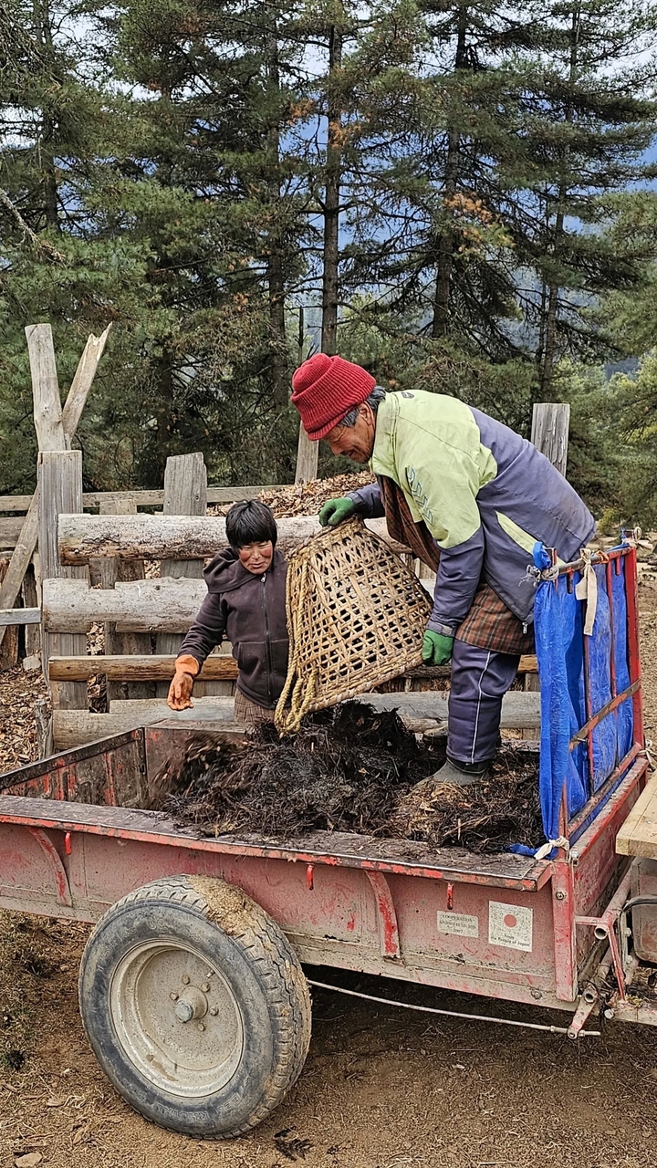 Deux personnes travaillant avec un panier, à l'extérieur.