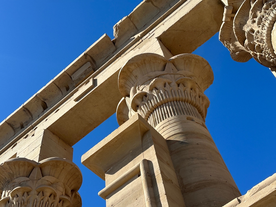 Vue rapprochée de colonnes égyptiennes antiques aux sculptures complexes.