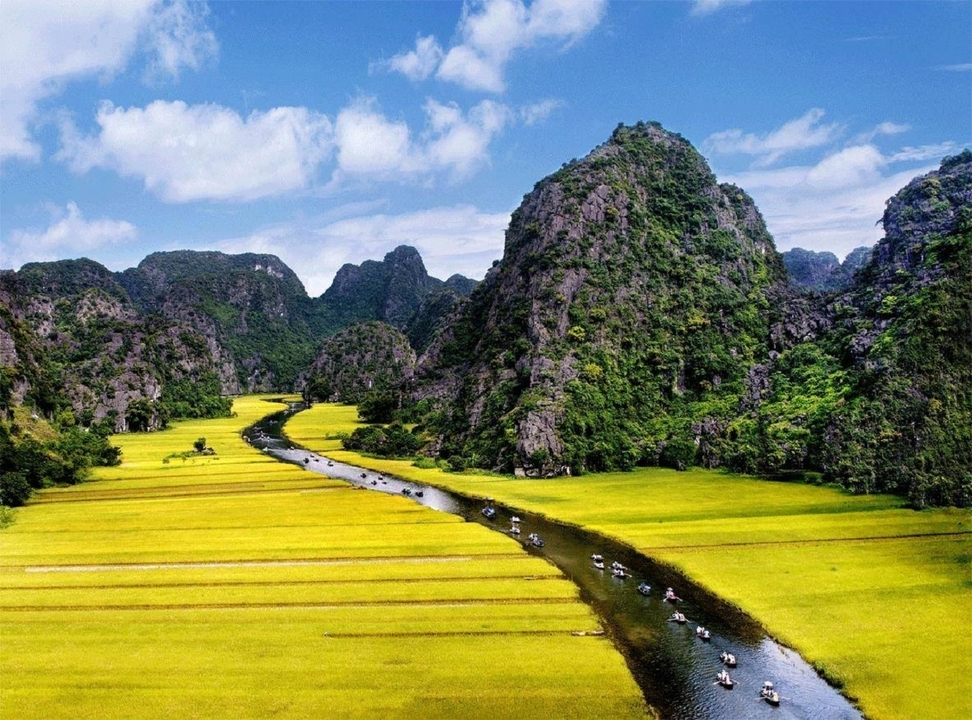 Terrasses de riz éclatantes le long d'une rivière tranquille dans une vallée.