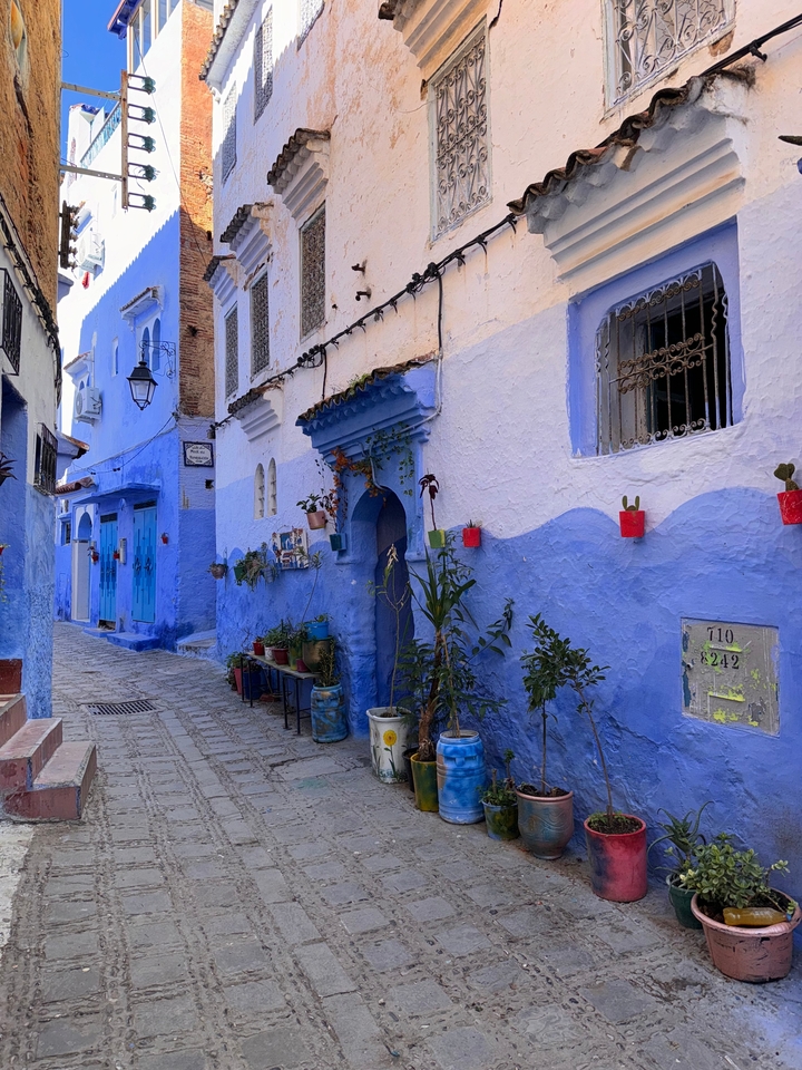 Une rue pittoresque bordée de bâtiments bleus et de plantes décoratives.