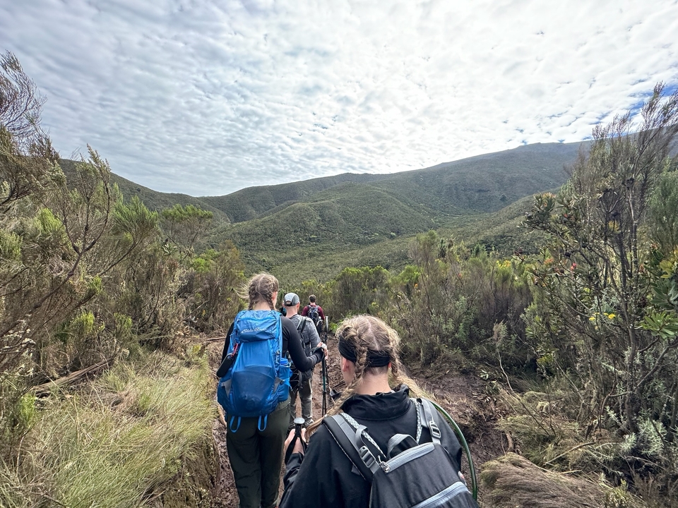 Randonneurs marchant sur un sentier entouré de montagnes