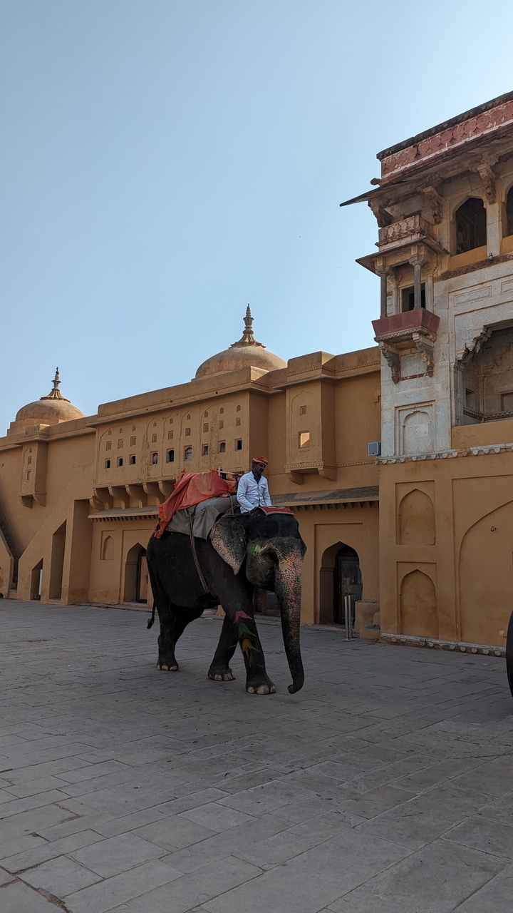 Homme chevauchant un éléphant devant un bâtiment architectural.