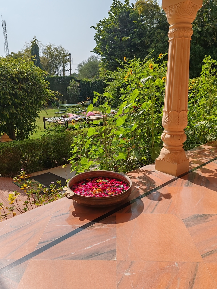 Vue extérieure d'un jardin avec un pot de fleurs et un sentier.