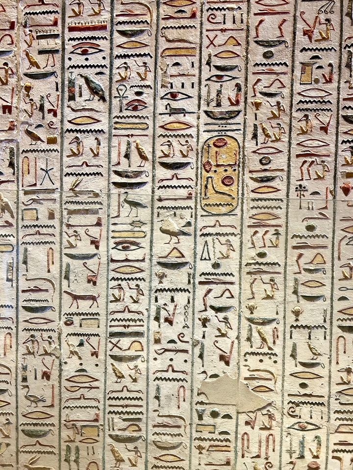 Gros plan sur des hiéroglyphes égyptiens détaillés.