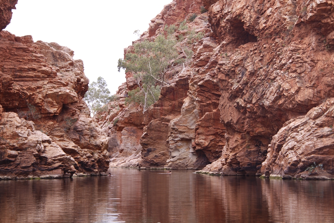 Un cañón rocoso con agua fluyendo a través.