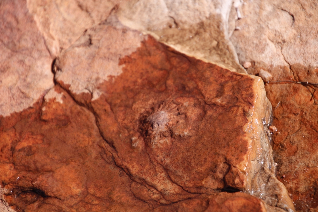 Primer plano de una superficie de roca roja con textura.