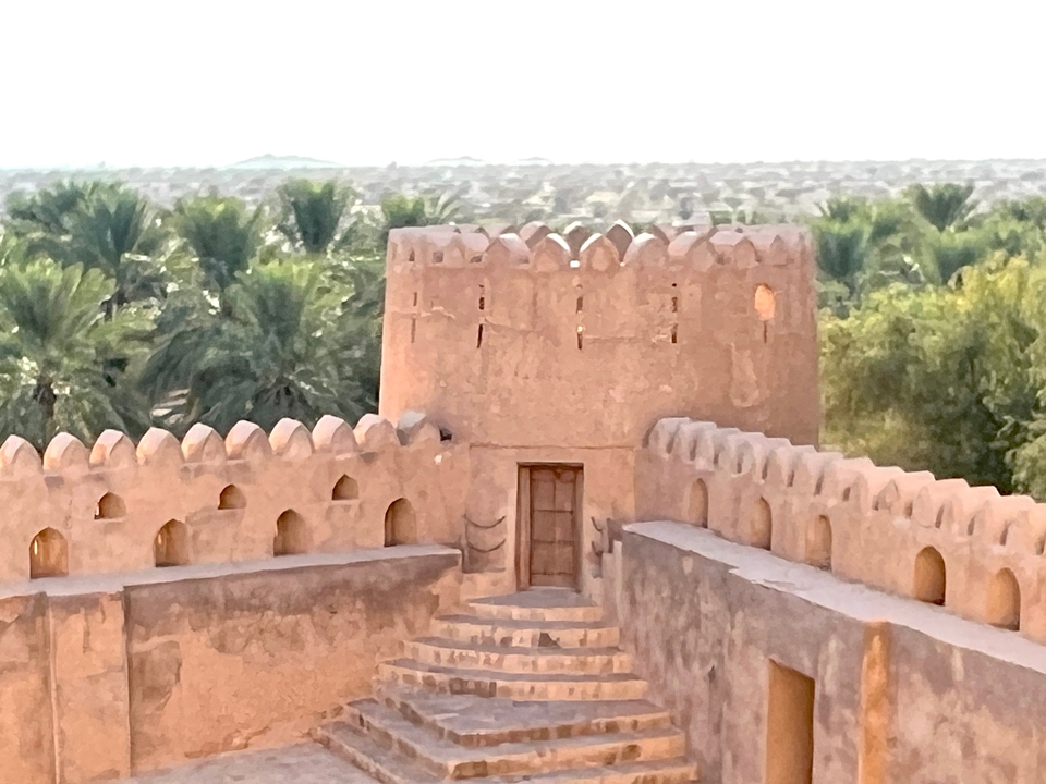 Une section d'un fort historique surplombant des palmiers.