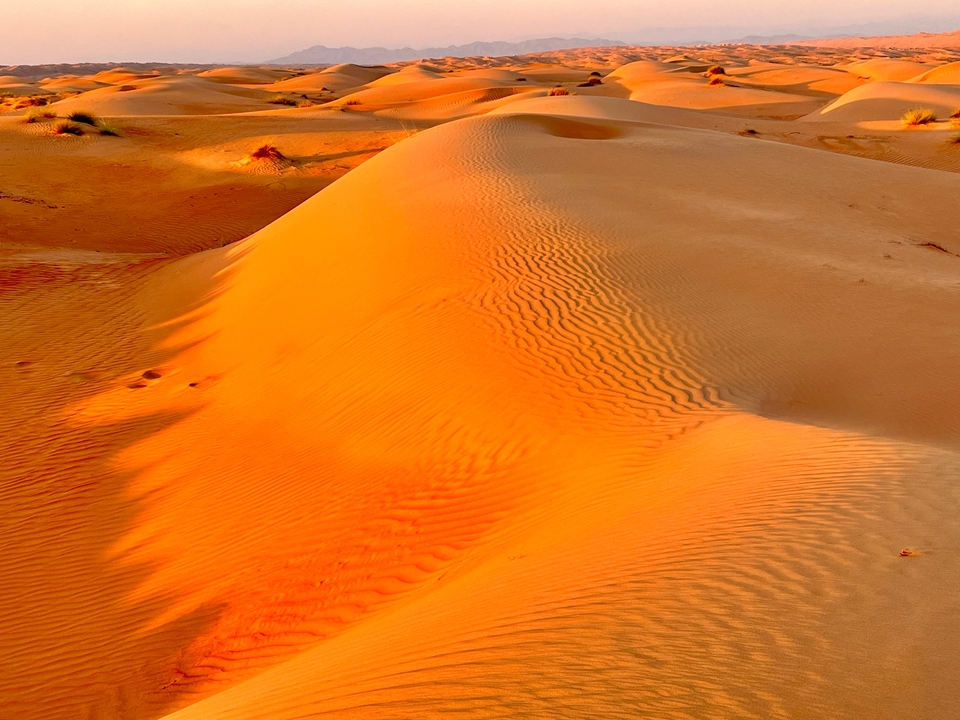 Dunes de sable sous un soleil éclatant, mettant en valeur le paysage désertique.