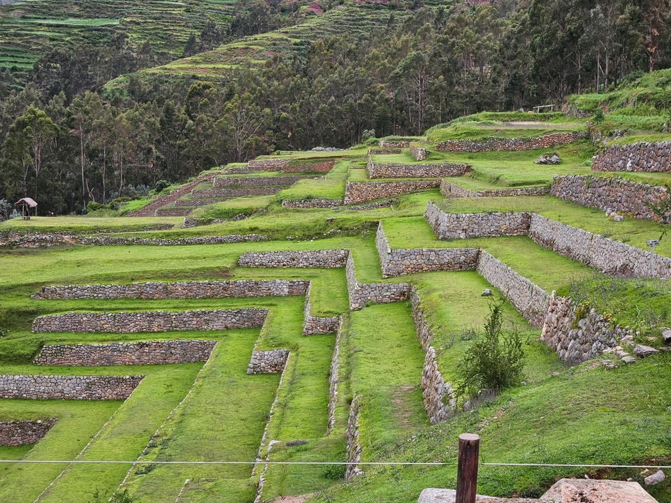 Champs agricoles en terrasses avec des murs de pierre dans une région montagneuse.