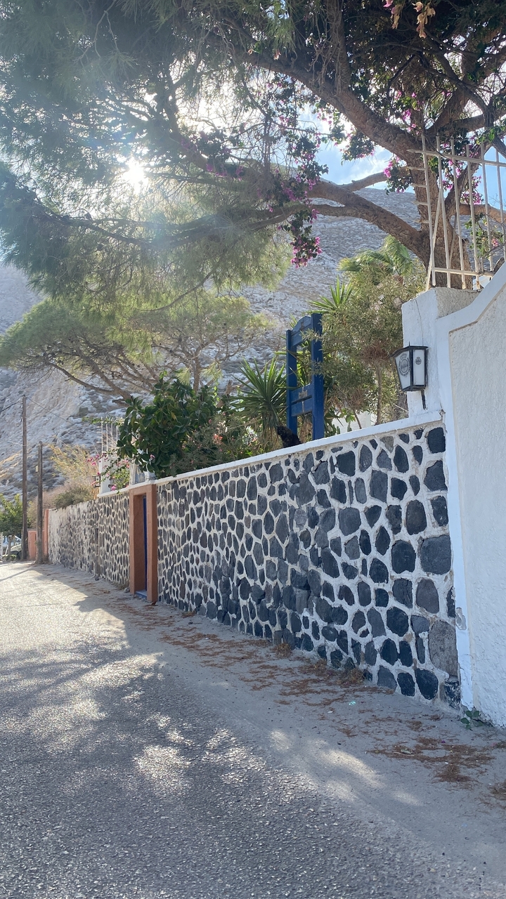 Un mur de pierre et une entrée avec des plantes et des arbres.