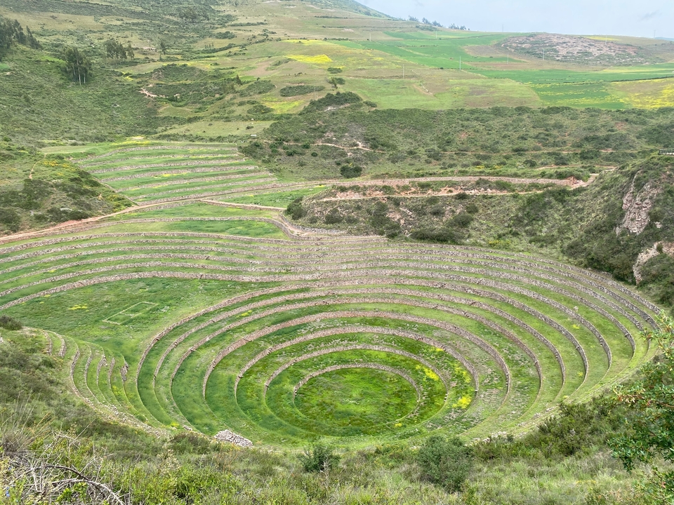 Champs en terrasses circulaires dans un paysage verdoyant.