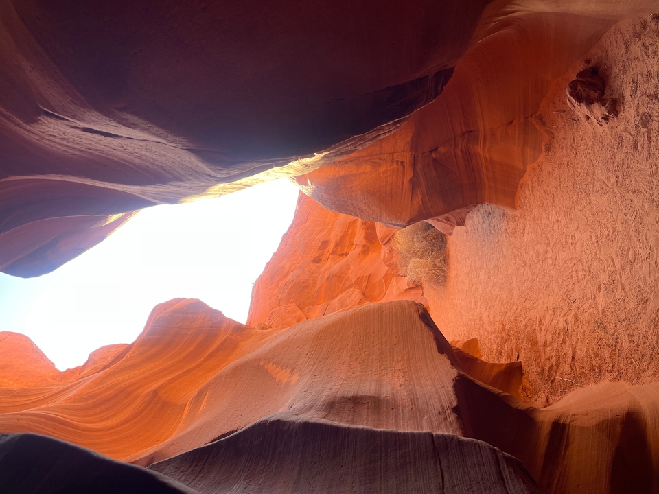 Parois ensoleillées d'un canyon aux surfaces texturées.
