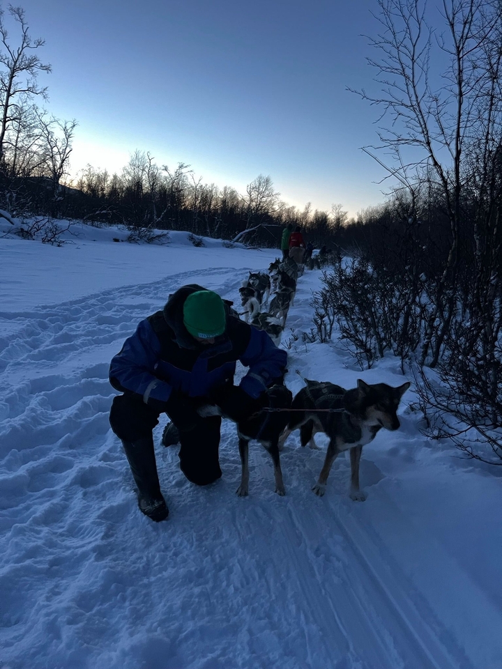 Une personne avec des chiens de traîneau dans la neige.