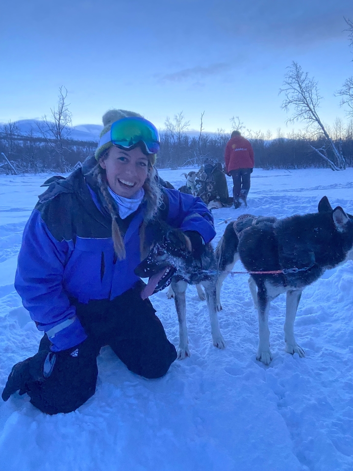 Une personne avec des chiens de traîneau.