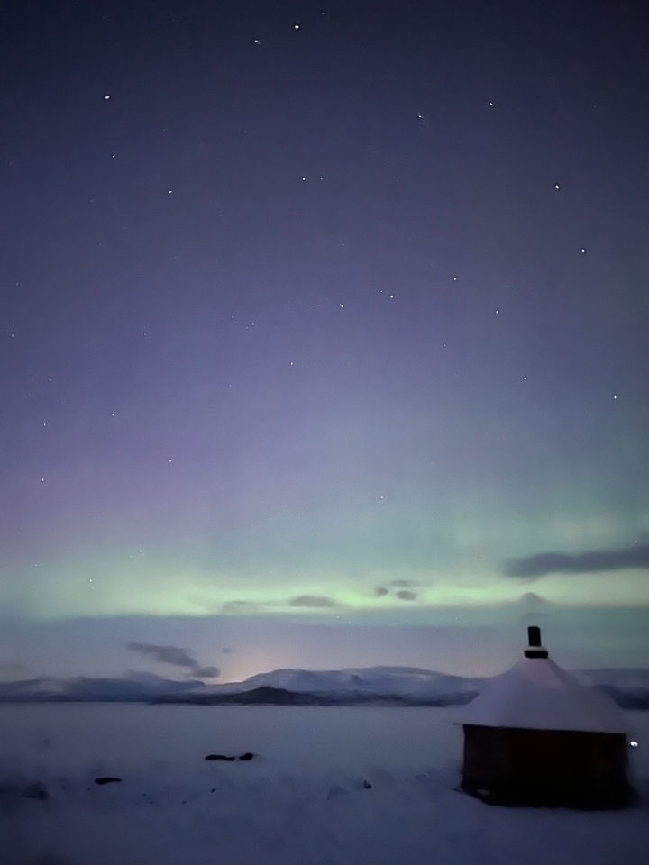 Aurores boréales dans un ciel neigeux.
