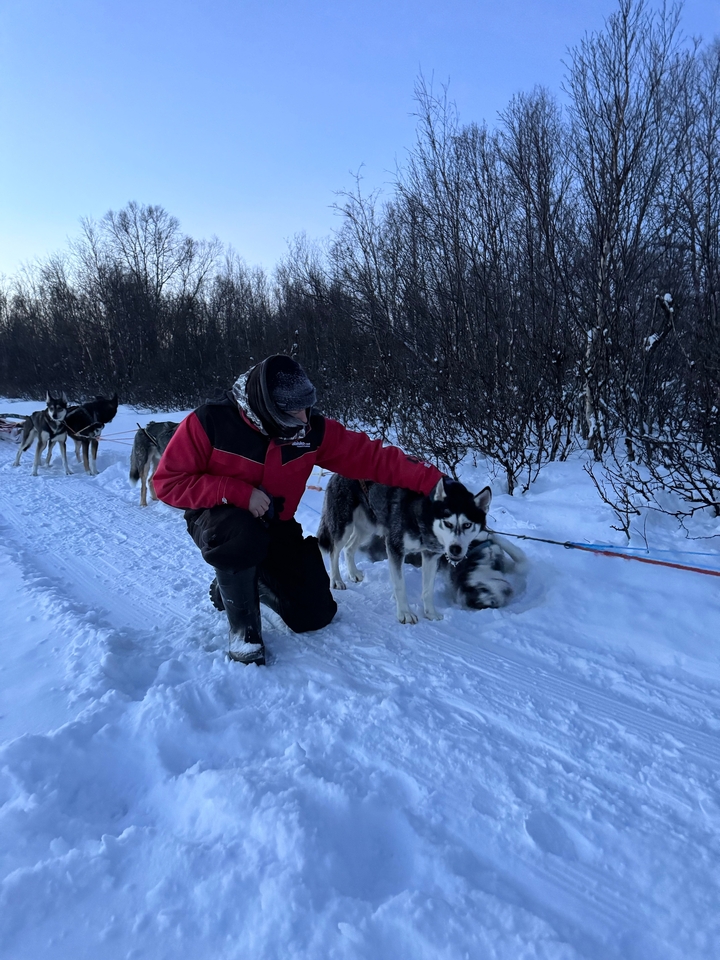 Une personne caressant un husky dans la neige.