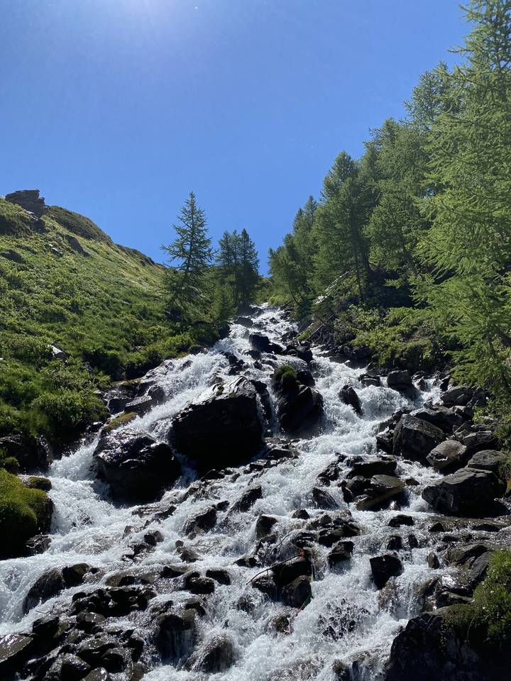 Cascade d'eau avec une végétation luxuriante.