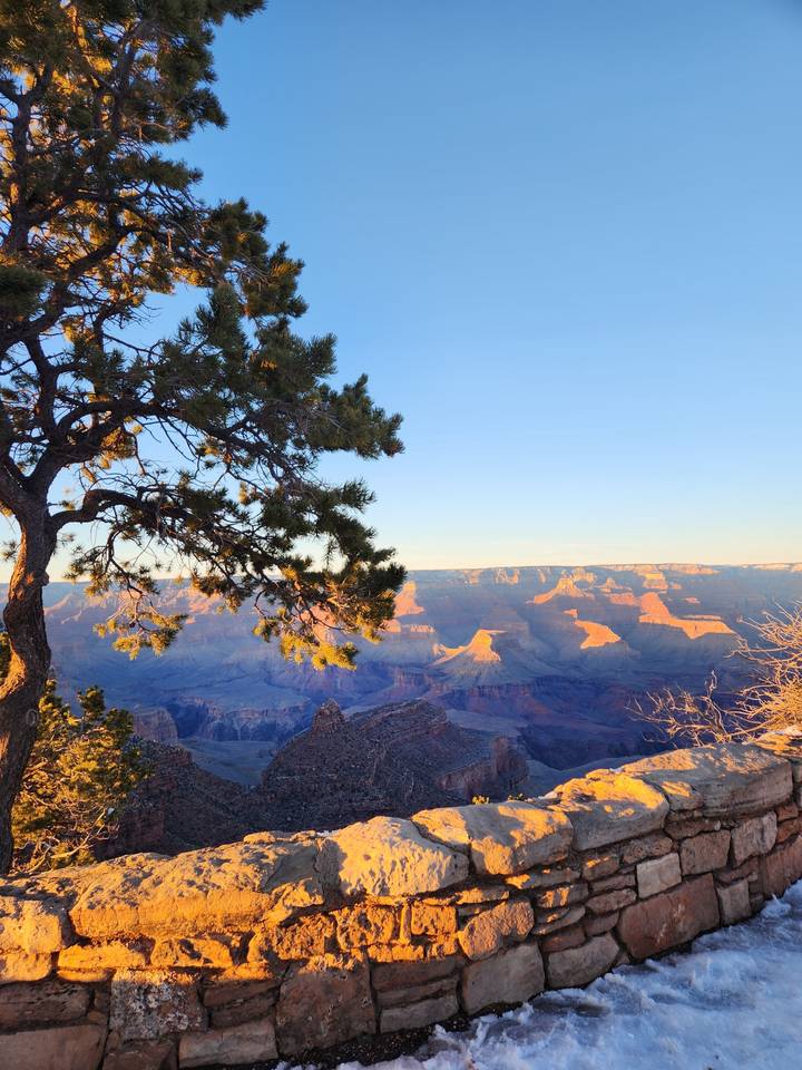 Vue du canyon avec des arbres et des formations rocheuses au coucher du soleil.
