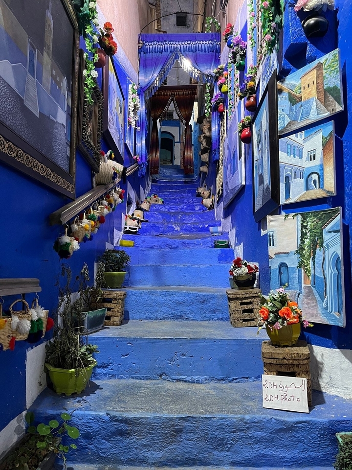 Escalier décoratif bleu avec plantes et peintures.