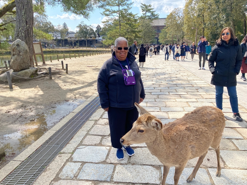 Personne debout avec un cerf dans un parc.