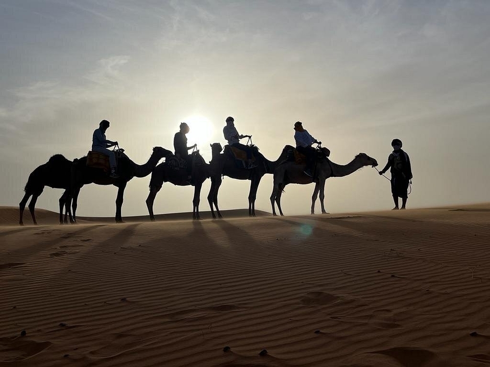 Silhouettes de chameaux avec des cavaliers sur les dunes du désert au coucher du soleil.