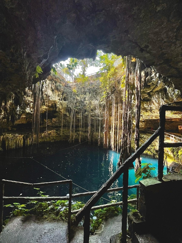 Cénote avec des lianes suspendues et de l'eau claire.