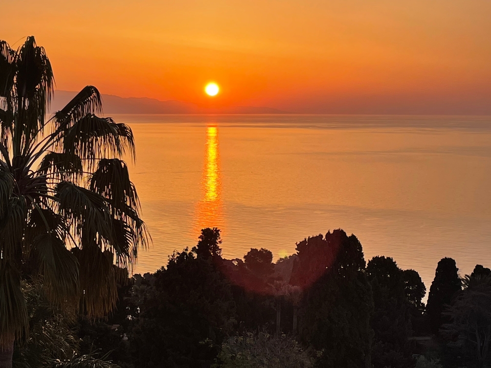 Magnifique coucher de soleil sur une mer avec des palmiers visibles.