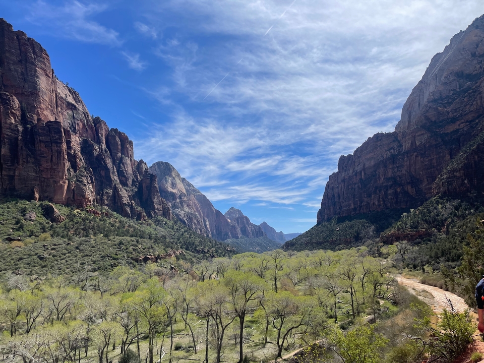 Vue panoramique de la vallée avec d'imposantes falaises rouges au parc national de Zion.
