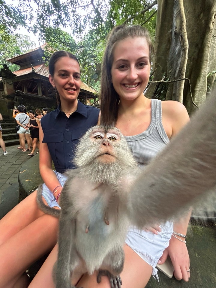 Gros plan d'un singe avec des gens en arrière-plan.