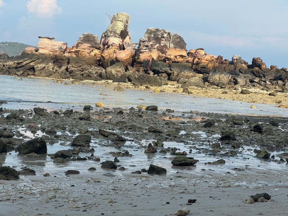 Plage rocheuse à marée basse.