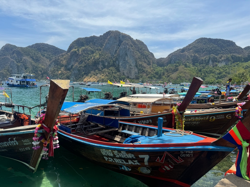 Bateaux colorés dans une baie bondée.