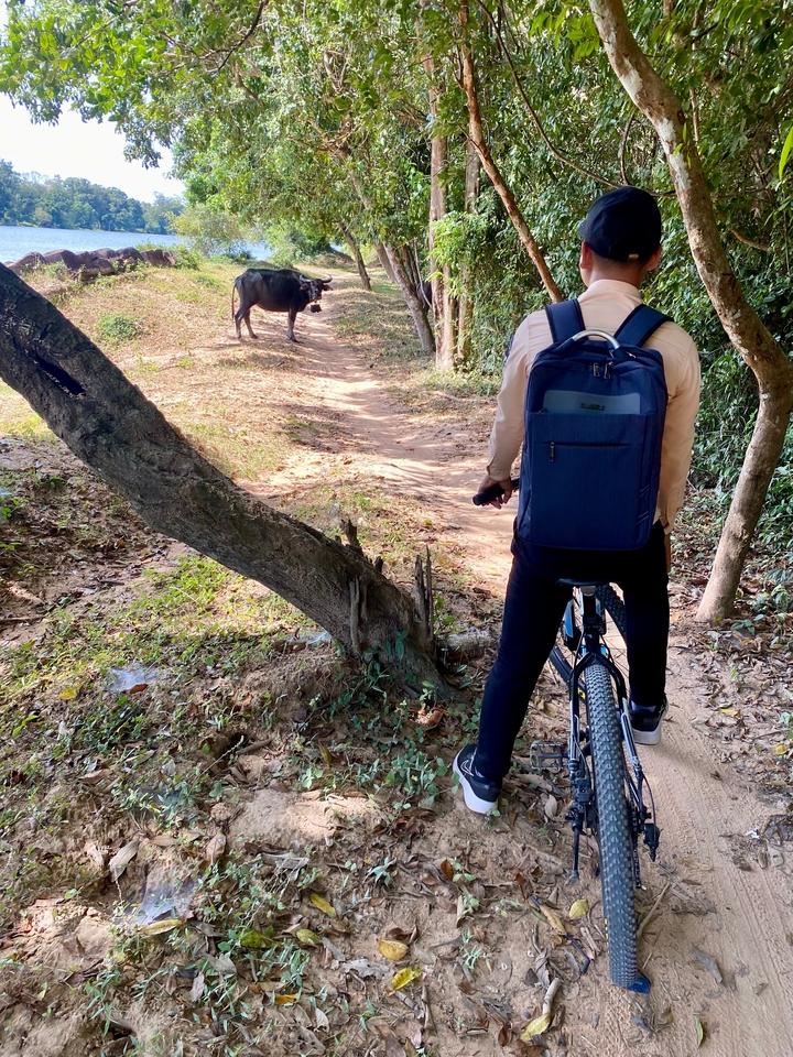 Personne qui fait du vélo sur un sentier forestier.