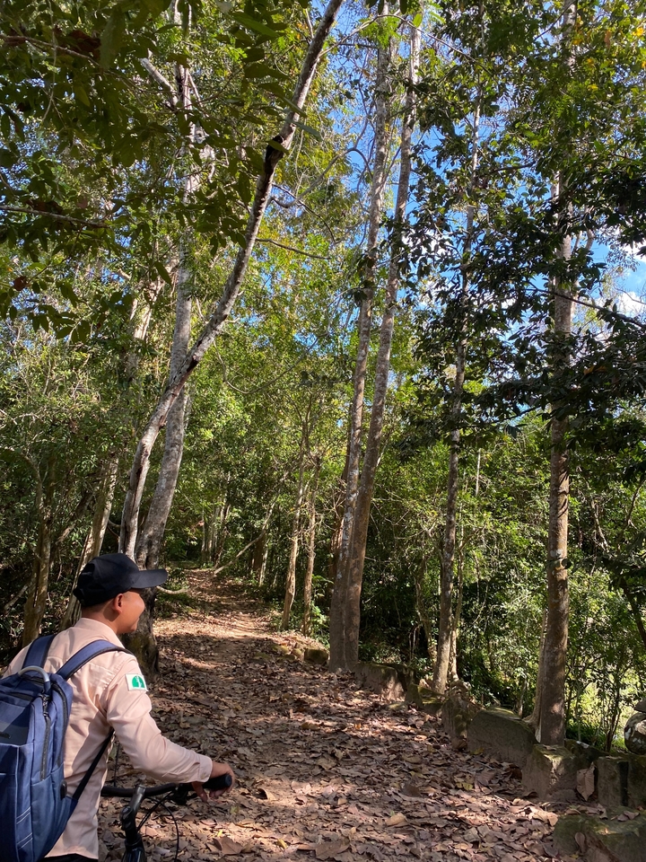 Sentier de forêt dense avec une personne qui marche.